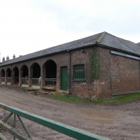 Cow & sheep Barn Tom Cat Lane Bickerton