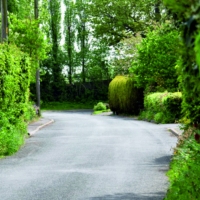 Road scene Tom Cat Lane Bickerton. Lush green hedges with sharp bend