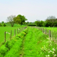 Warfields Public footpath West of Main Street Bickerton