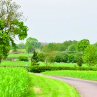 Lush green farm land scene with road bearing left