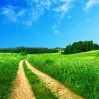 Public footpath and track running across a green field